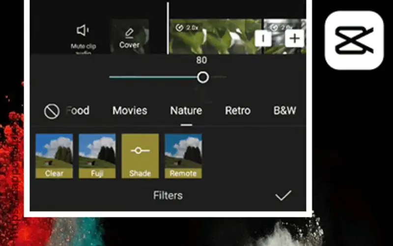 CapCut Visual Enhancements and Filters